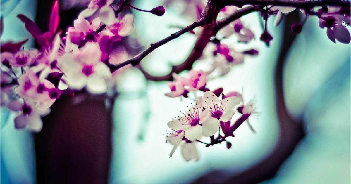 Case Studies: How International Professionals Save 8-10 Hours Per Week