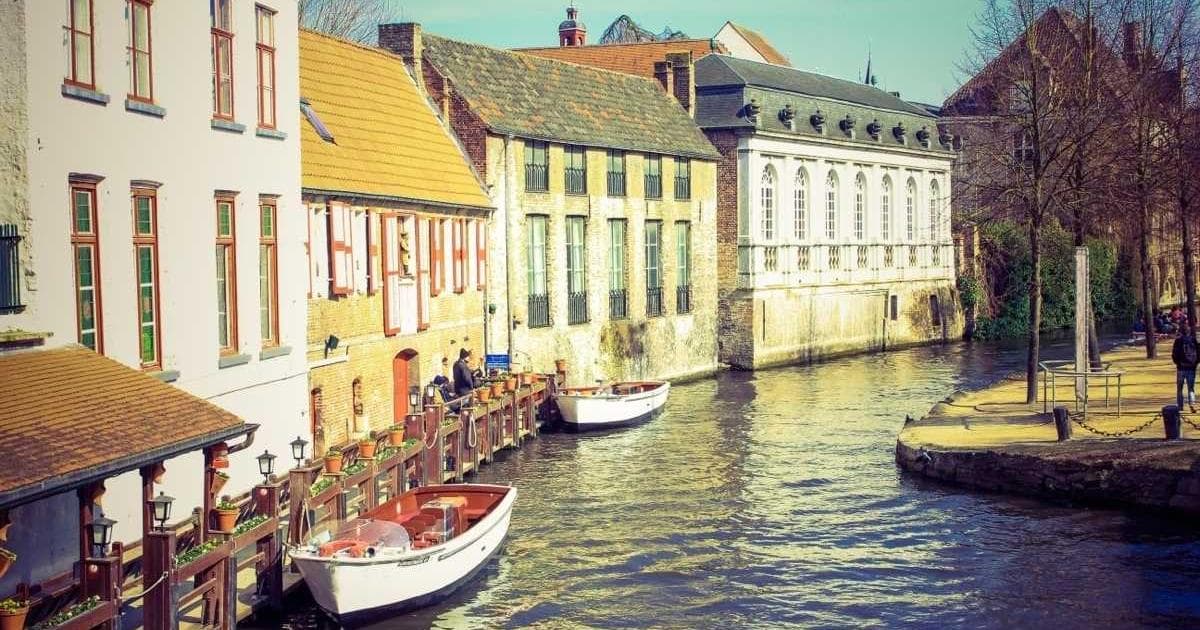 Why Your Multilingual Brain Is Your Biggest Asset (And How to Stop Treating It Like a Burden)